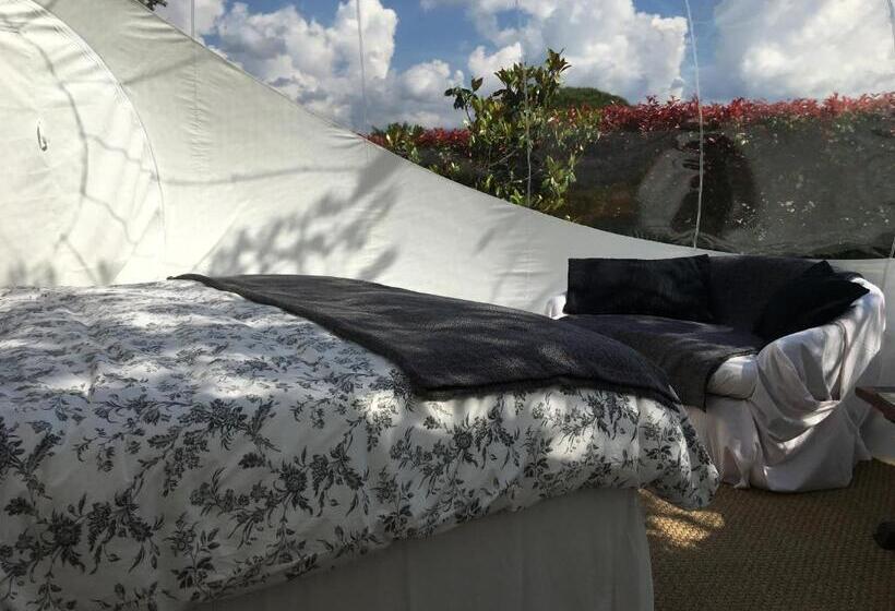 Standard Tent, Bulle D Amour