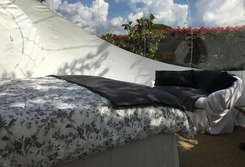 Standard Tent, Bulle D Amour