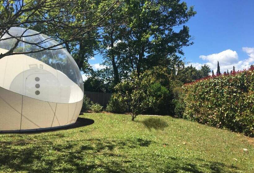 Standard Tent, Bulle D Amour