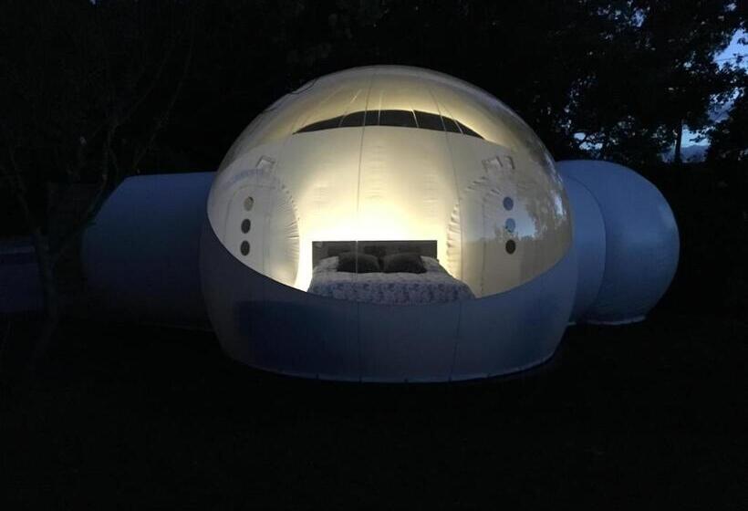 Standard Tent, Bulle D Amour