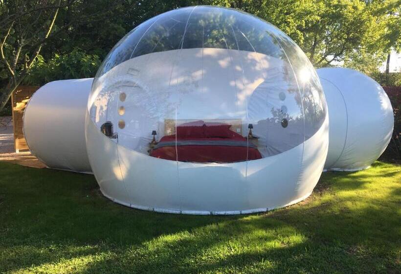 Standard Tent, Bulle D Amour
