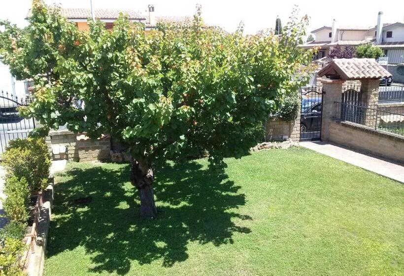 スーペリアールーム, L Albicocco