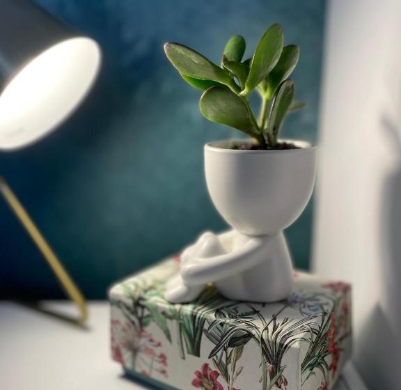 带1个卧室的带阳台的公寓, Les Thiausères