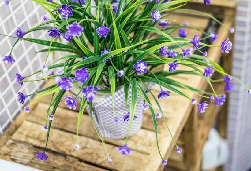 디럭스 트리플 룸, Residenza Il Casone