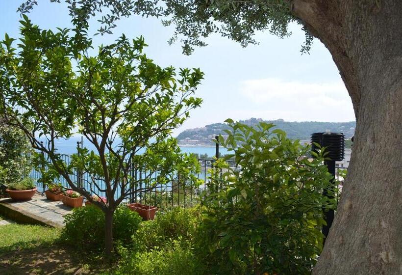 스탠다드 룸, Ca Da Muntà Bed And Breakfast