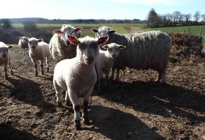 شاليه غرفة نوم واحدة, Hof Mellon