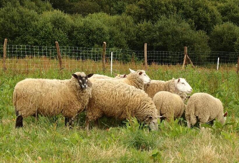 شاليه غرفة نوم واحدة, Hof Mellon