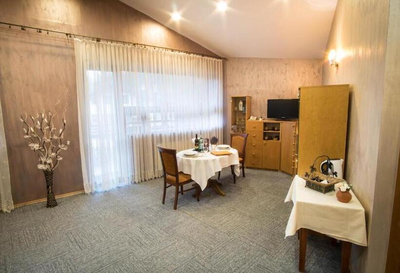 １ベッドルームのデラックスアパートメント, šomka