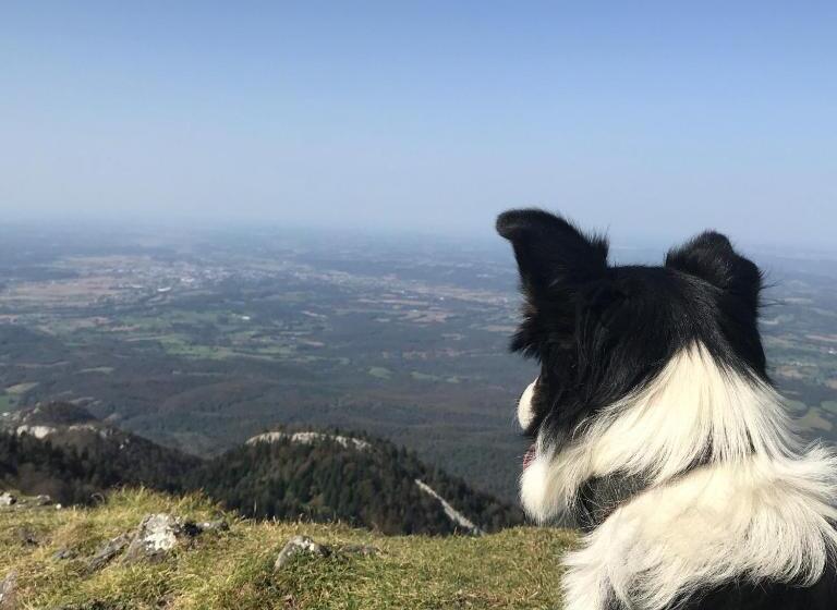 غرفة قياسية مطلة على الجبل, Gite Cap De La Hont