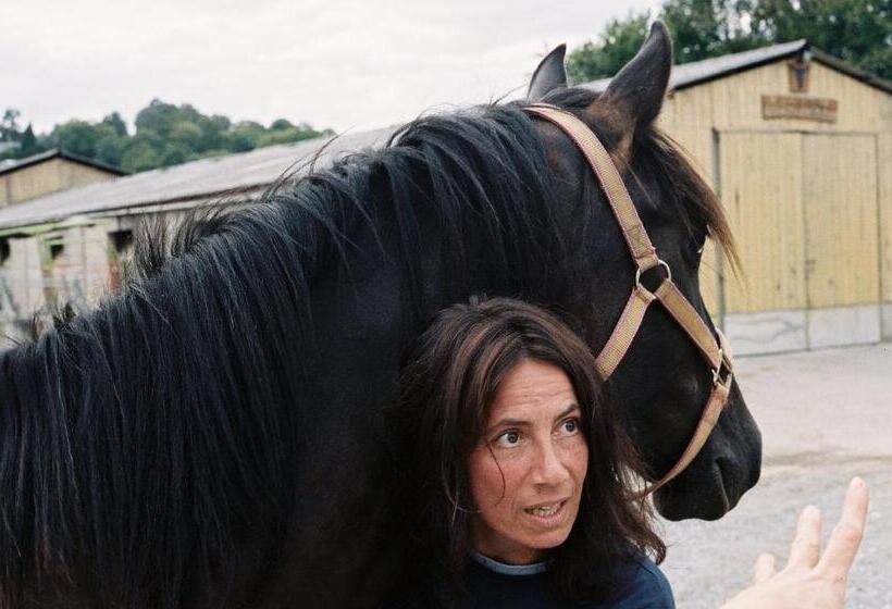 غرفة قياسية مطلة على الجبل, Gite Cap De La Hont