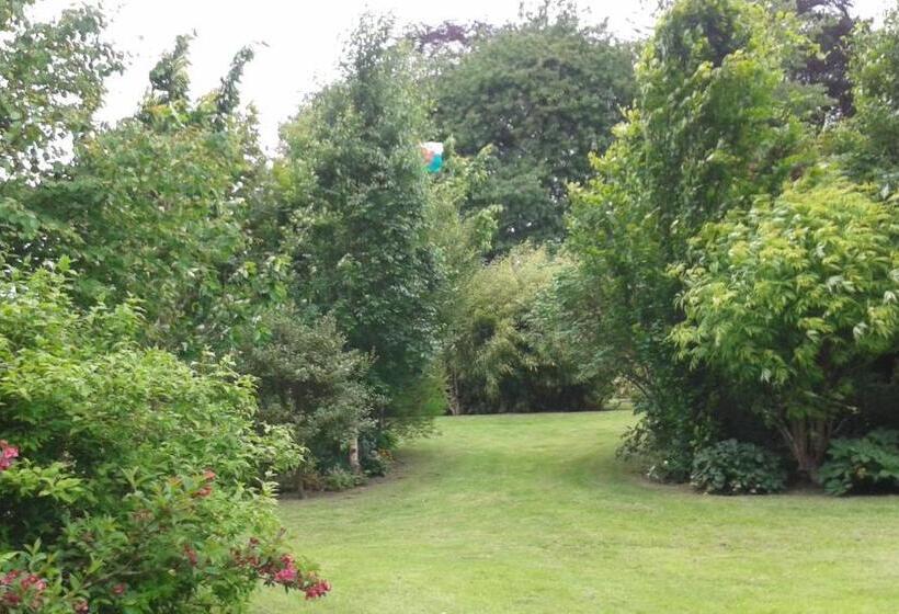 컴포트 트리플 룸, Beech House