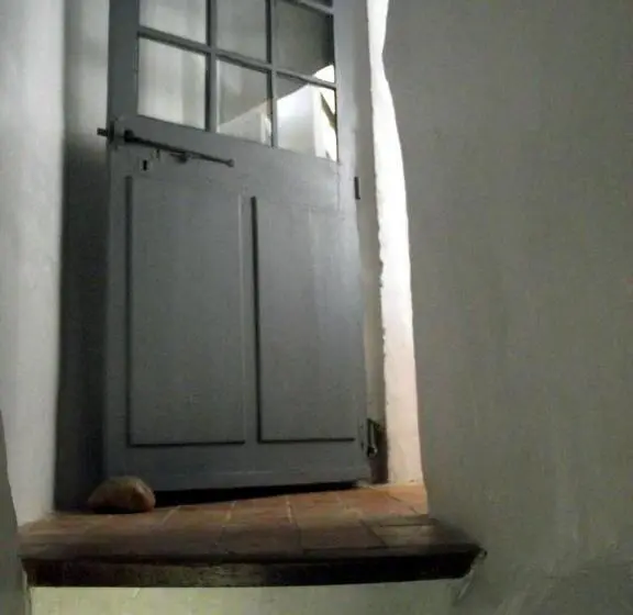 Habitació Estàndard, Longo Mai