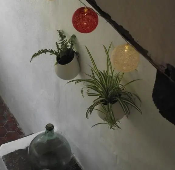 Habitació Estàndard, Longo Mai