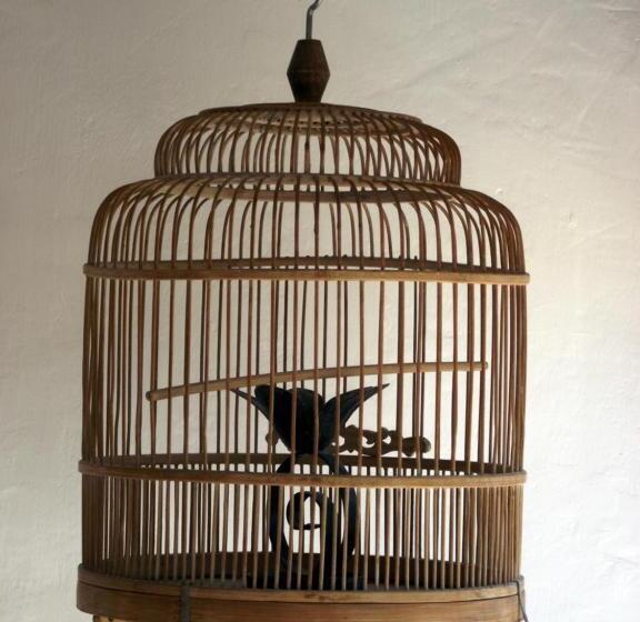 Standardrum, Longo Mai