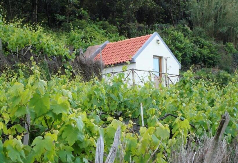 منزل غرفة نوم واحدة, A Casa Estrelícia Dourada Garcês