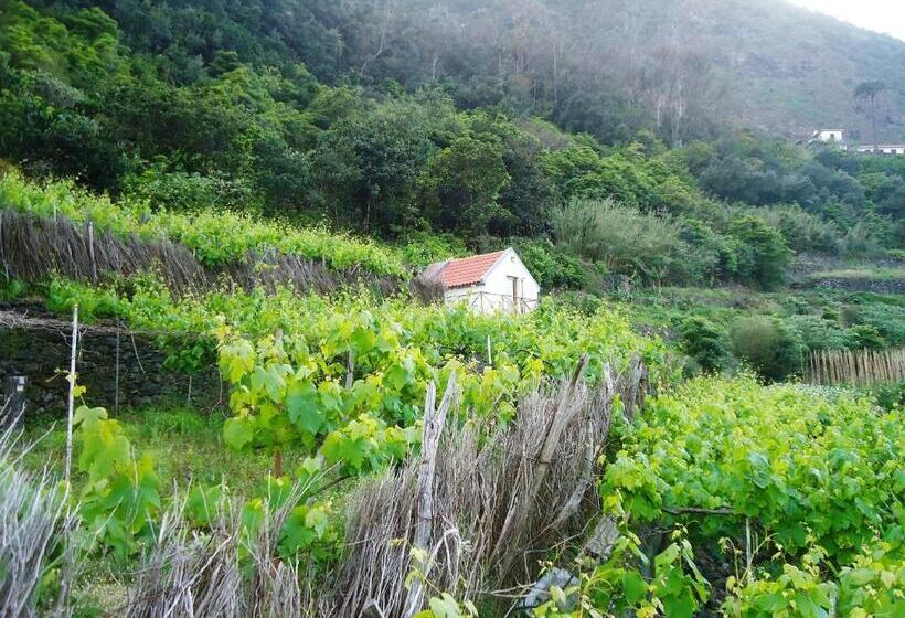 منزل غرفة نوم واحدة, A Casa Estrelícia Dourada Garcês
