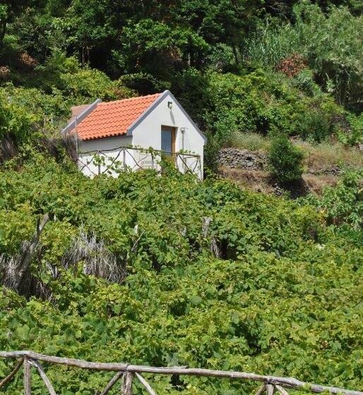 منزل غرفة نوم واحدة, A Casa Estrelícia Dourada Garcês