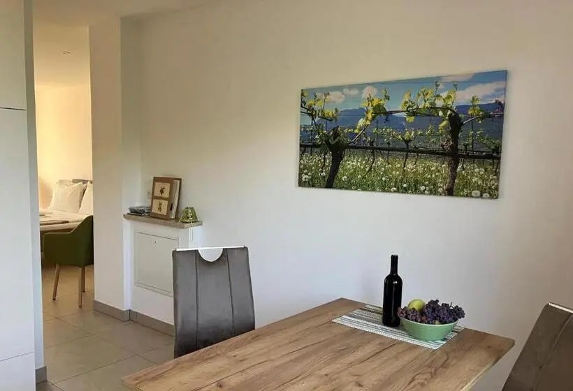 テラス付き１ベッドルームアパートメント, Appartements Weisshauserhof