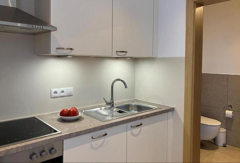 带1个卧室的带阳台的公寓, Appartements Weisshauserhof