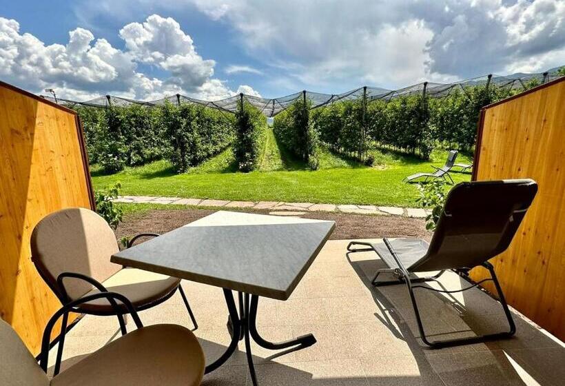 Апартаменты 1 Спальня с Террасой, Appartements Weisshauserhof