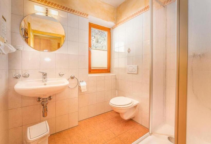 חדר סטנדרט, Alfaierhof Bergheimat