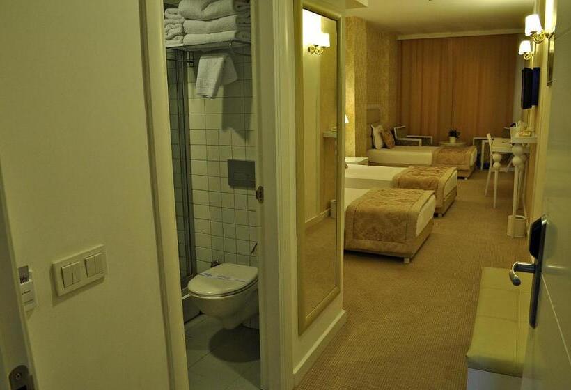 غرفة قياسية ثلاثية, Edirne Palace