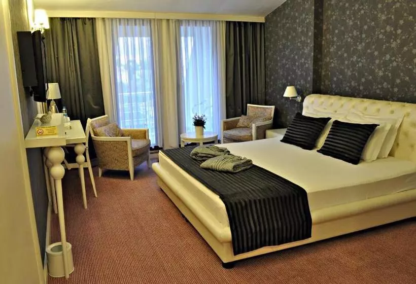 Habitació Deluxe, Edirne Palace