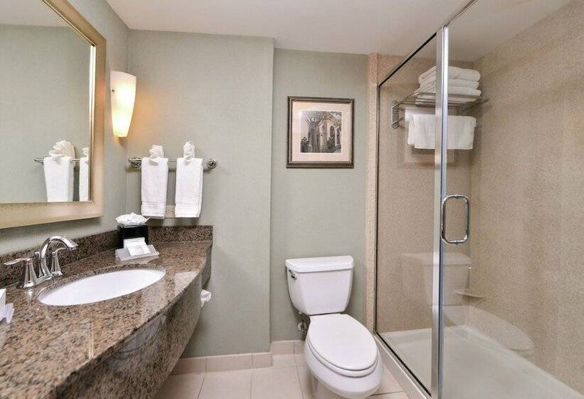 Стандартный Номер Кровать Кинг, Hilton Garden Inn Jacksonville Downtown Southbank