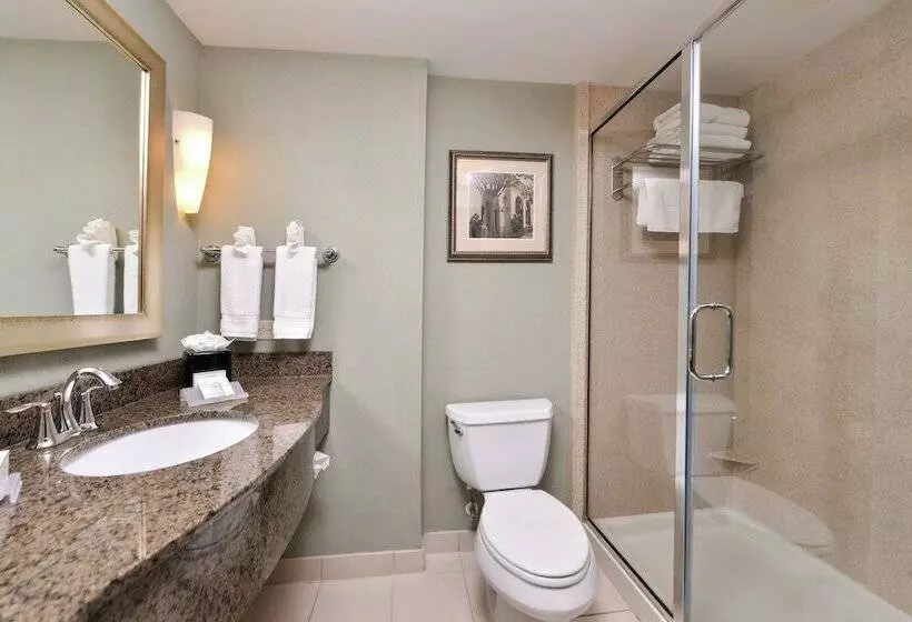 キングサイズベッドのスタンダードルーム, Hilton Garden Inn Jacksonville Downtown Southbank
