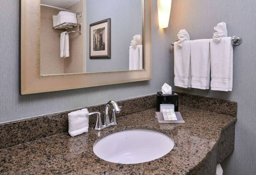 غرفة قياسية سرير كينج, Hilton Garden Inn Jacksonville Downtown Southbank