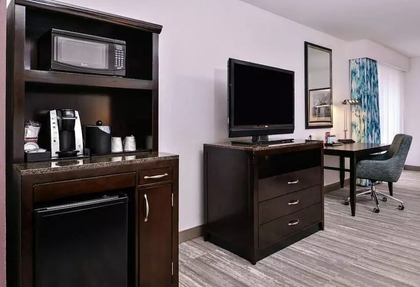 キングサイズベッドのスタンダードルーム, Hilton Garden Inn Jacksonville Downtown Southbank
