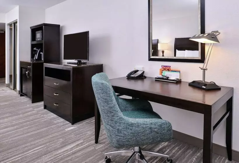 キングサイズベッドのスタンダードルーム, Hilton Garden Inn Jacksonville Downtown Southbank