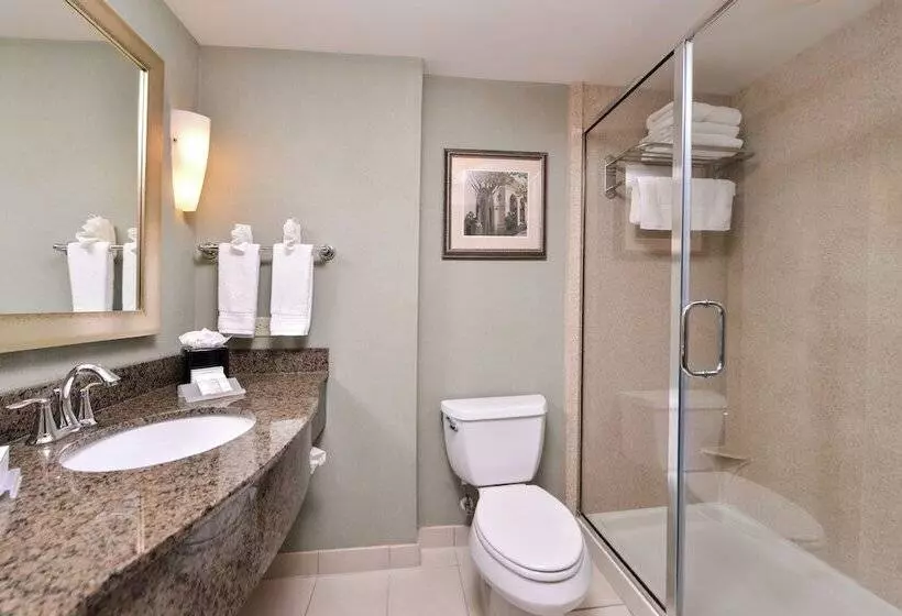 身障者適用キングサイズベッドルーム, Hilton Garden Inn Jacksonville Downtown Southbank