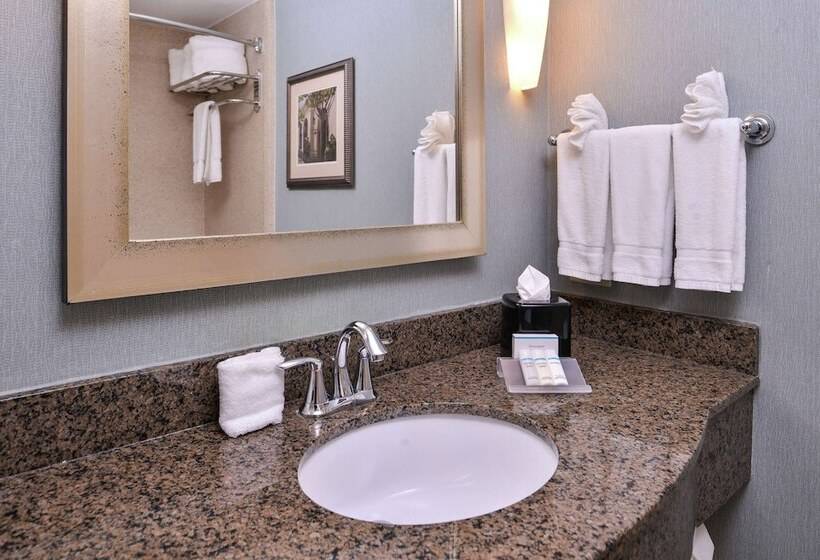 Номер Стандарт Кровать Кинг Адаптированный для Инвалидов, Hilton Garden Inn Jacksonville Downtown Southbank