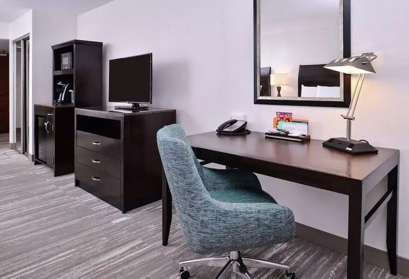 身障者適用キングサイズベッドルーム, Hilton Garden Inn Jacksonville Downtown Southbank