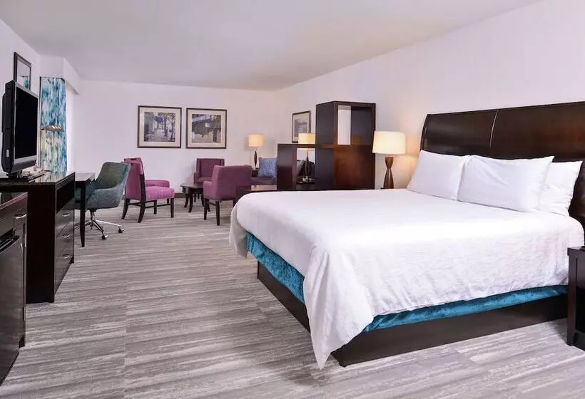 キングサイズベッドのジュニアスイート, Hilton Garden Inn Jacksonville Downtown Southbank