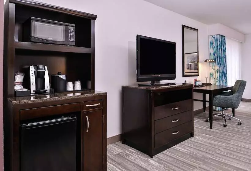 キングサイズベッドのジュニアスイート, Hilton Garden Inn Jacksonville Downtown Southbank