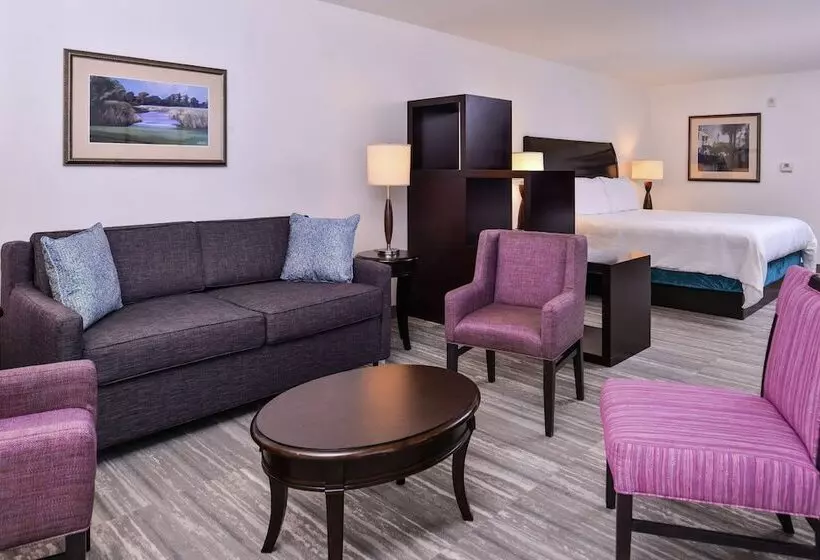 キングサイズベッドのジュニアスイート, Hilton Garden Inn Jacksonville Downtown Southbank