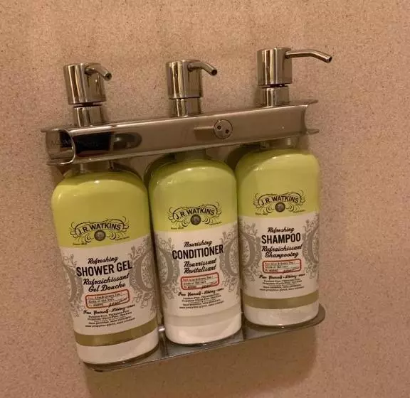 エクゼクティブスイート, Holiday Inn Express Las Cruces North, An Ihg