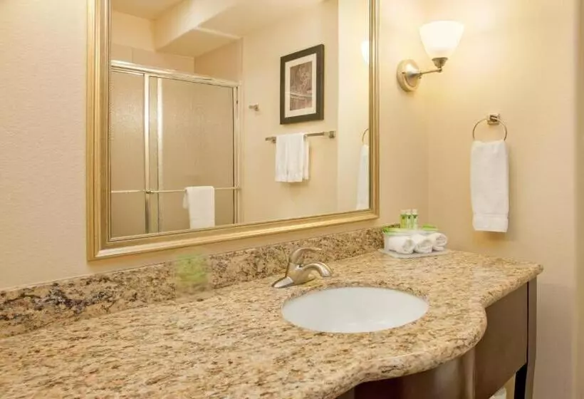 キングサイズベッドのスイートルーム, Holiday Inn Express Las Cruces North, An Ihg