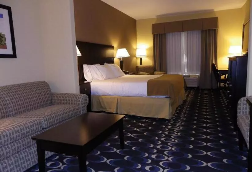 キングサイズベッドのスタンダードルーム, Holiday Inn Express Las Cruces North, An Ihg