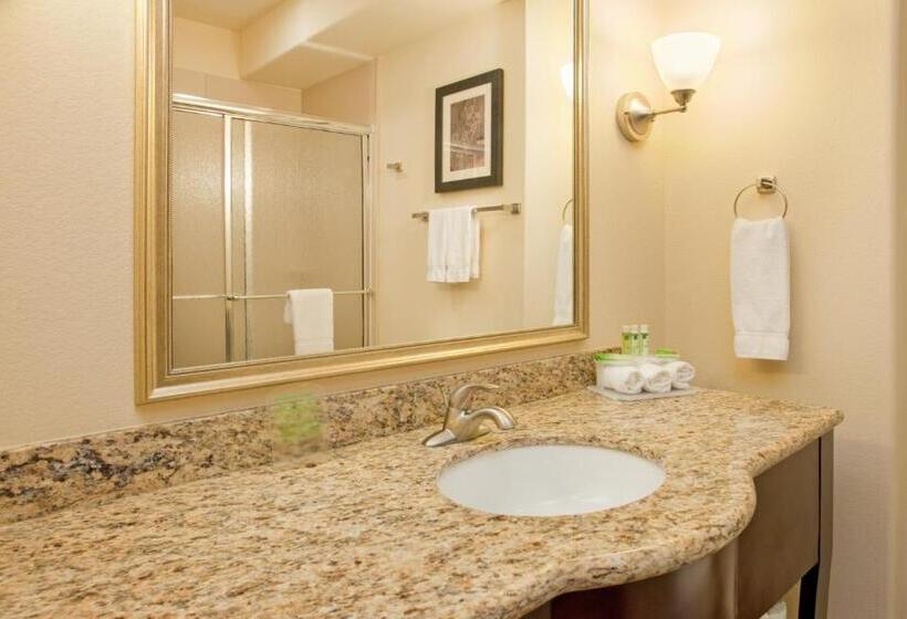 디럭스 룸, Holiday Inn Express Las Cruces North, An Ihg