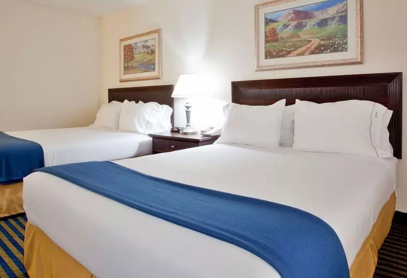 身障者適用スタンダードルーム, Holiday Inn Express & Suites Chesapeake, An Ihg