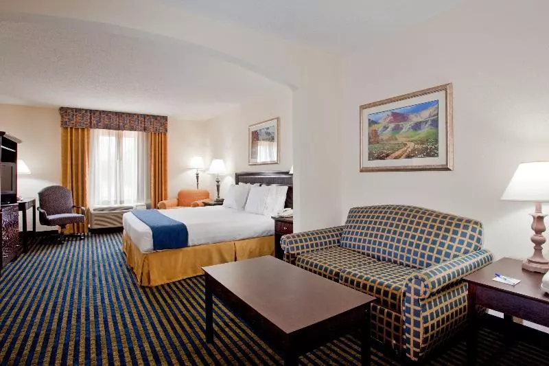 キングサイズベッドのスイートルーム, Holiday Inn Express & Suites Chesapeake, An Ihg