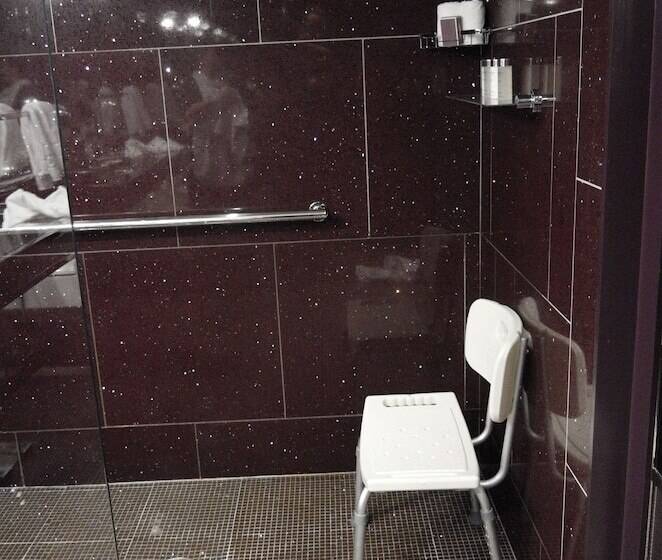 带露台的豪华间, The Chatwal, The Unbound Collection By Hyatt