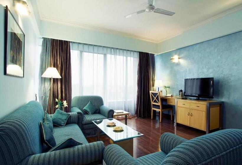 Люкс, The Piccadily