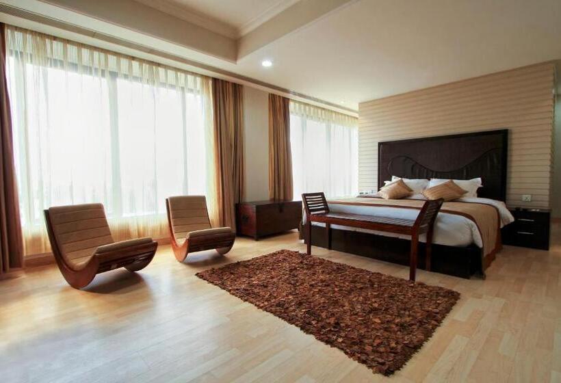 Люкс, The Piccadily