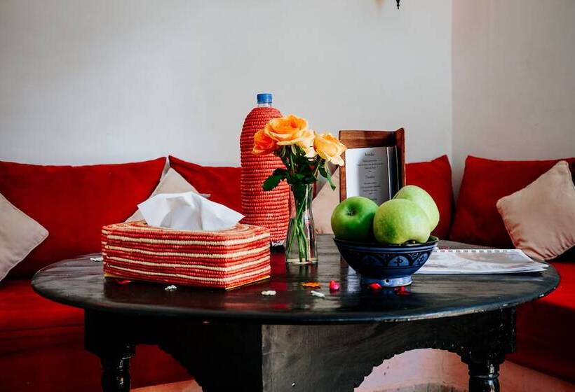 سوییت جونیور, Riad Nora