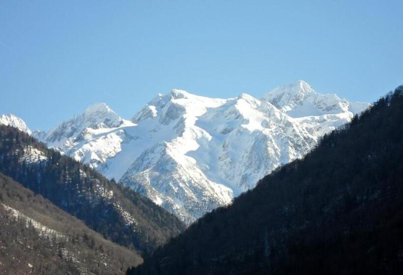 סוויטה משפחתית, Villa Gracieuse