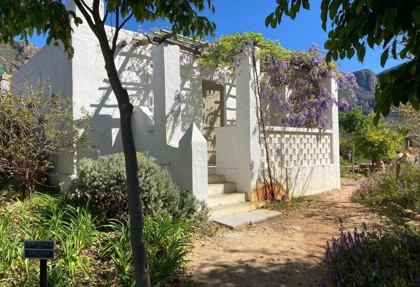 إستوديو قياسى, Kleinkloof Farm